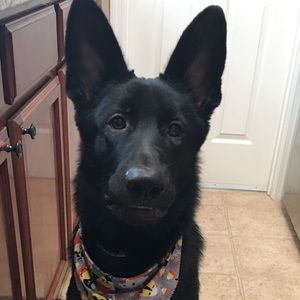 Meet your Posher, Justice